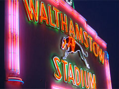 Walthamstow Dog Track Picture