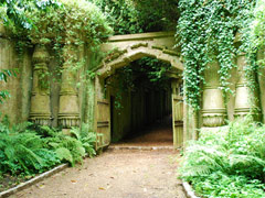 Highgate Cemetery Picture