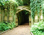 Highgate Cemetery image
