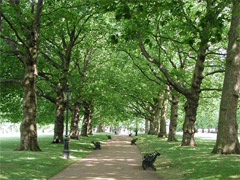 Green Park image