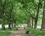 Green Park image