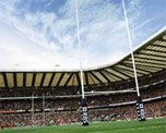 Museum of Rugby image