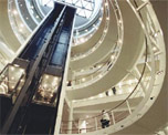 London School of Economics image