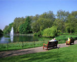 St. James Park image