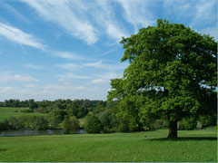Weald Country Park image