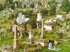 Willesden New Cemetery image