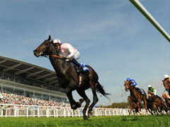 Epsom Downs Racecourse image