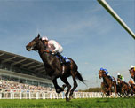 Epsom Downs Racecourse image