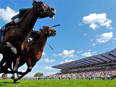 Sandown Park Racecourse image