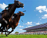 Sandown Park Racecourse image