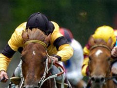 Kempton Park Racecourse image