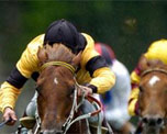 Kempton Park Racecourse image