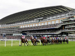 Ascot Racecourse image