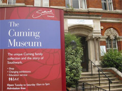The Cuming Museum image