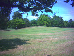 Wimbledon Common image
