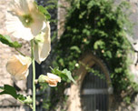Garden Museum image