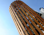 London School of Hygiene & Tropical Medicine image