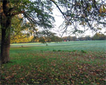 Ealing Common image