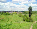 South Norwood Country Park image
