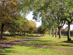 Burgess Park image