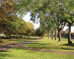 Burgess Park image