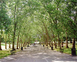 Crystal Palace Park image
