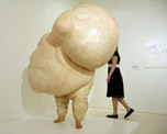 The Wellcome Collection image