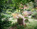 Phoenix Garden image