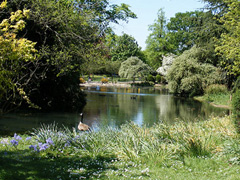 Ravenscourt Park image