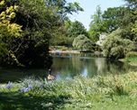 Ravenscourt Park image