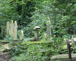 Tower Hamlets Cemetery Park image