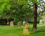 Margravine Cemetery image