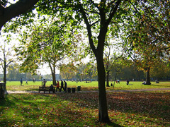 Queens Park image