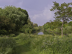Hackney Marshes image