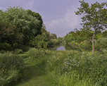 Hackney Marshes image