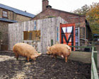 Hackney City Farm image