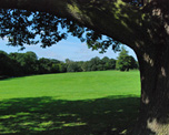 Trent Park image