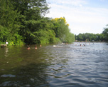 Hampstead Ponds image
