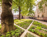 Queen's Diamond Garden image