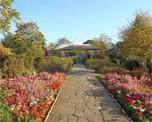 Walled Garden image