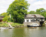 Eel Pie Island image