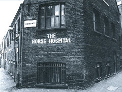 The Horse Hospital image