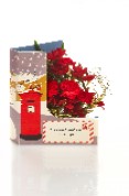Win a Christmas Flowercard image