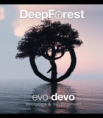 Grammy Award Winning Artist 'Deep Forest' image