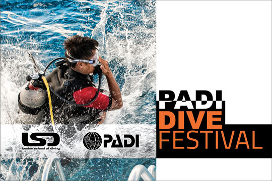 PADI Dive Festival image