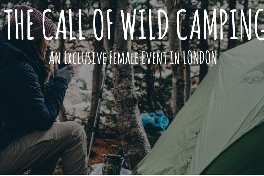 The Call Of Wild Camping image