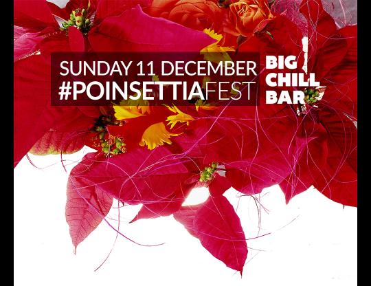 #PoinsettiaFest at Big Chill image
