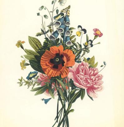 Painting Class: Botanical Illustrations image