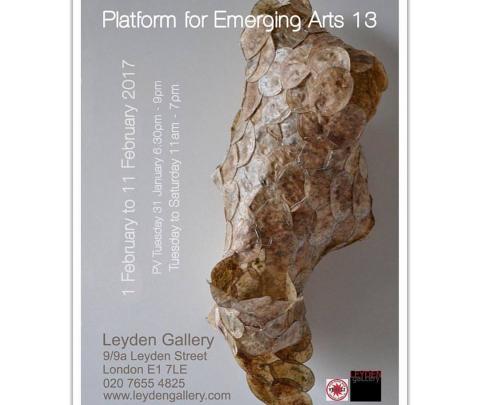 Platform for Emerging Arts #13 image