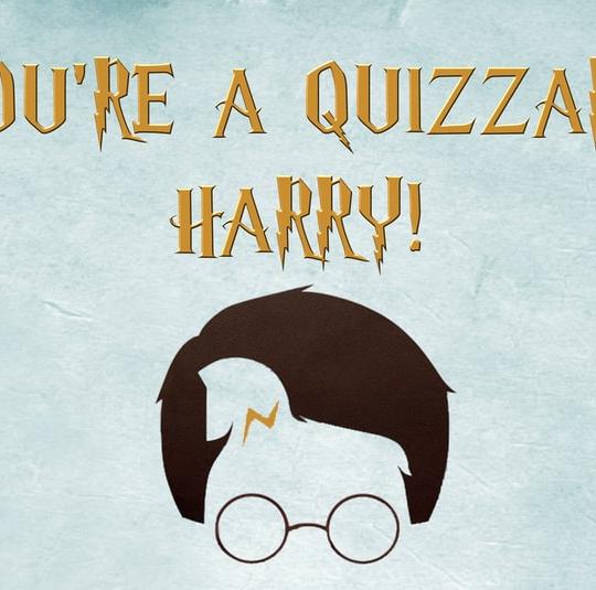 You're A Quizzard Harry image